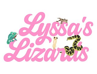 Lyssa ✨ Your reptile keeping bestie