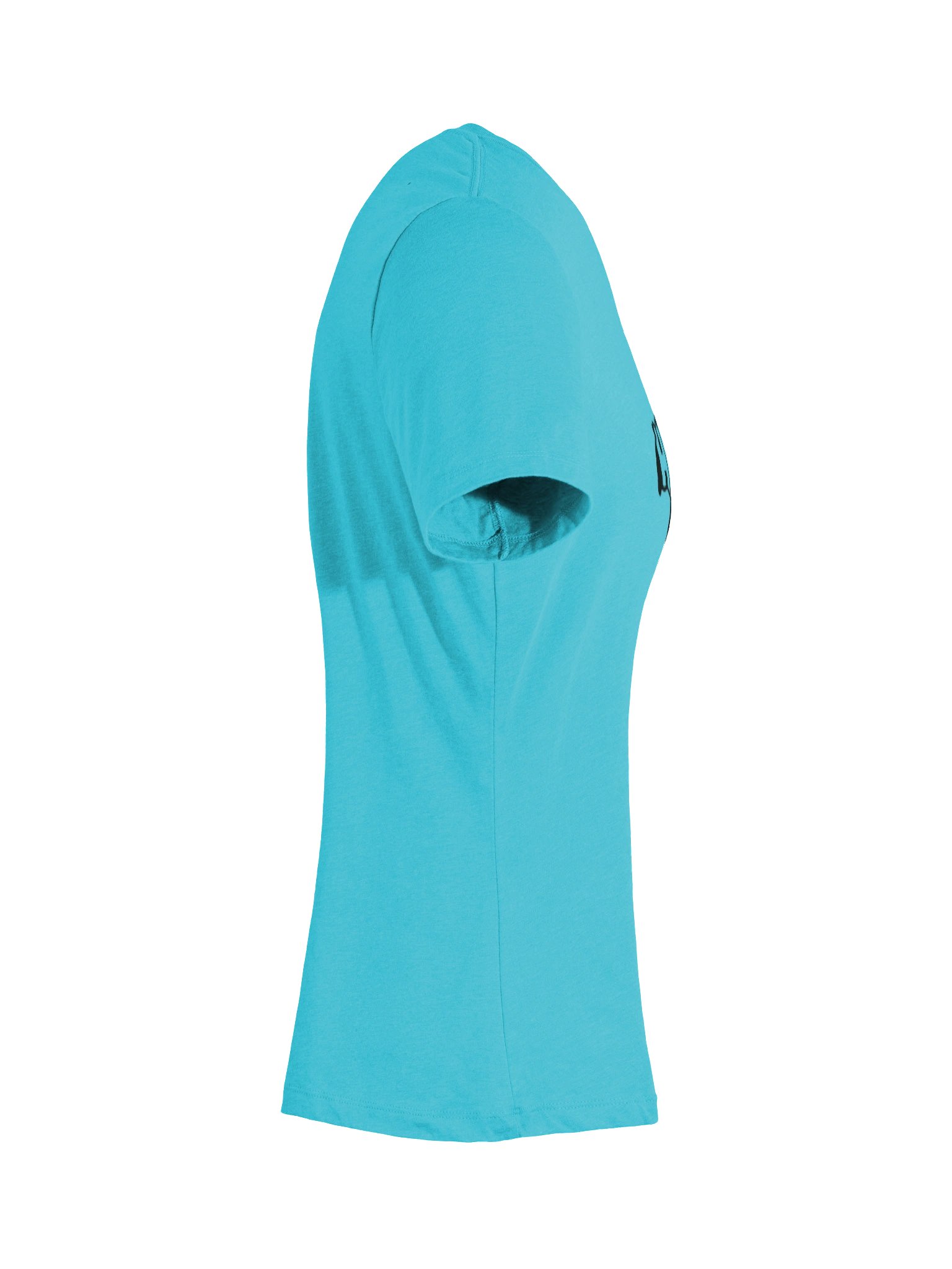 Black Tapir Women's V-Neck Horse Tee product image (11)