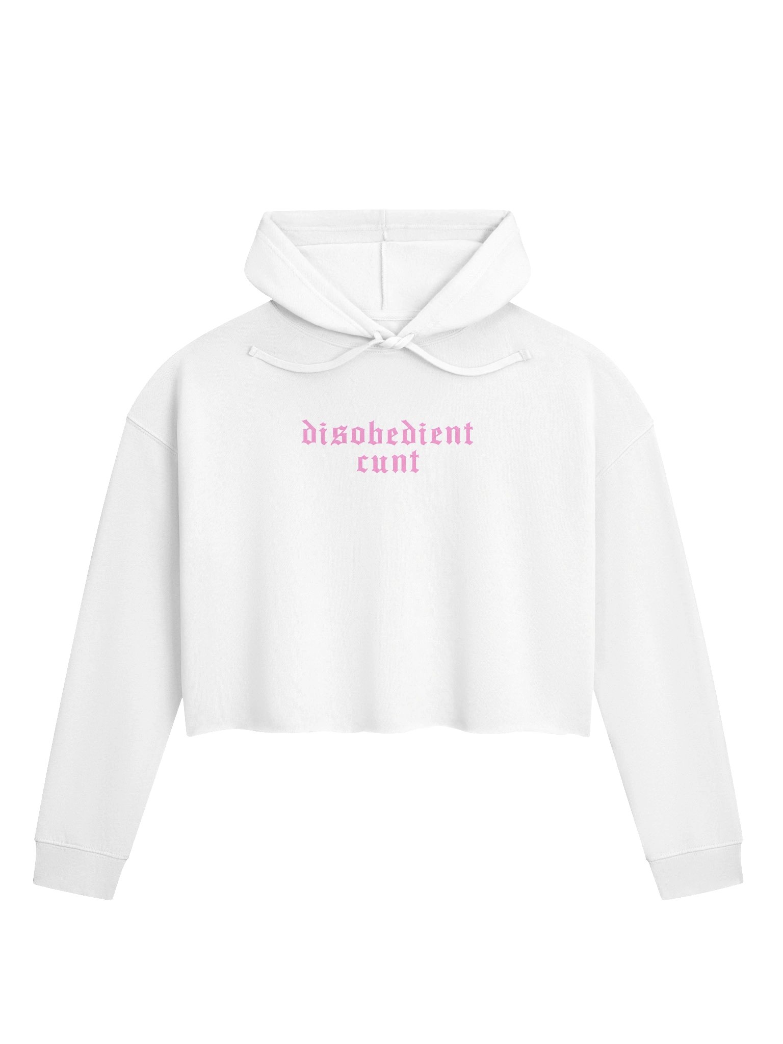 Disobedient Cropped Hoodie product image (1)