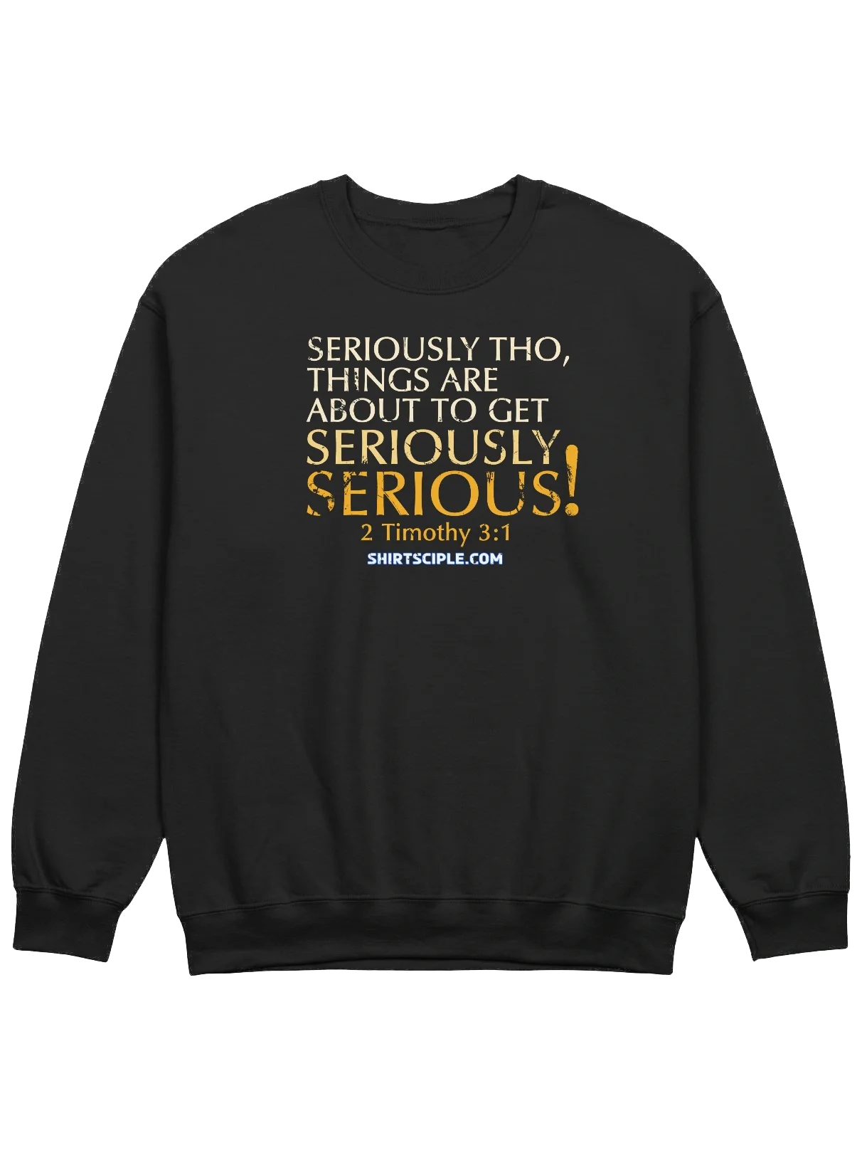 Seriously Serious Sweatshirt product image (3)