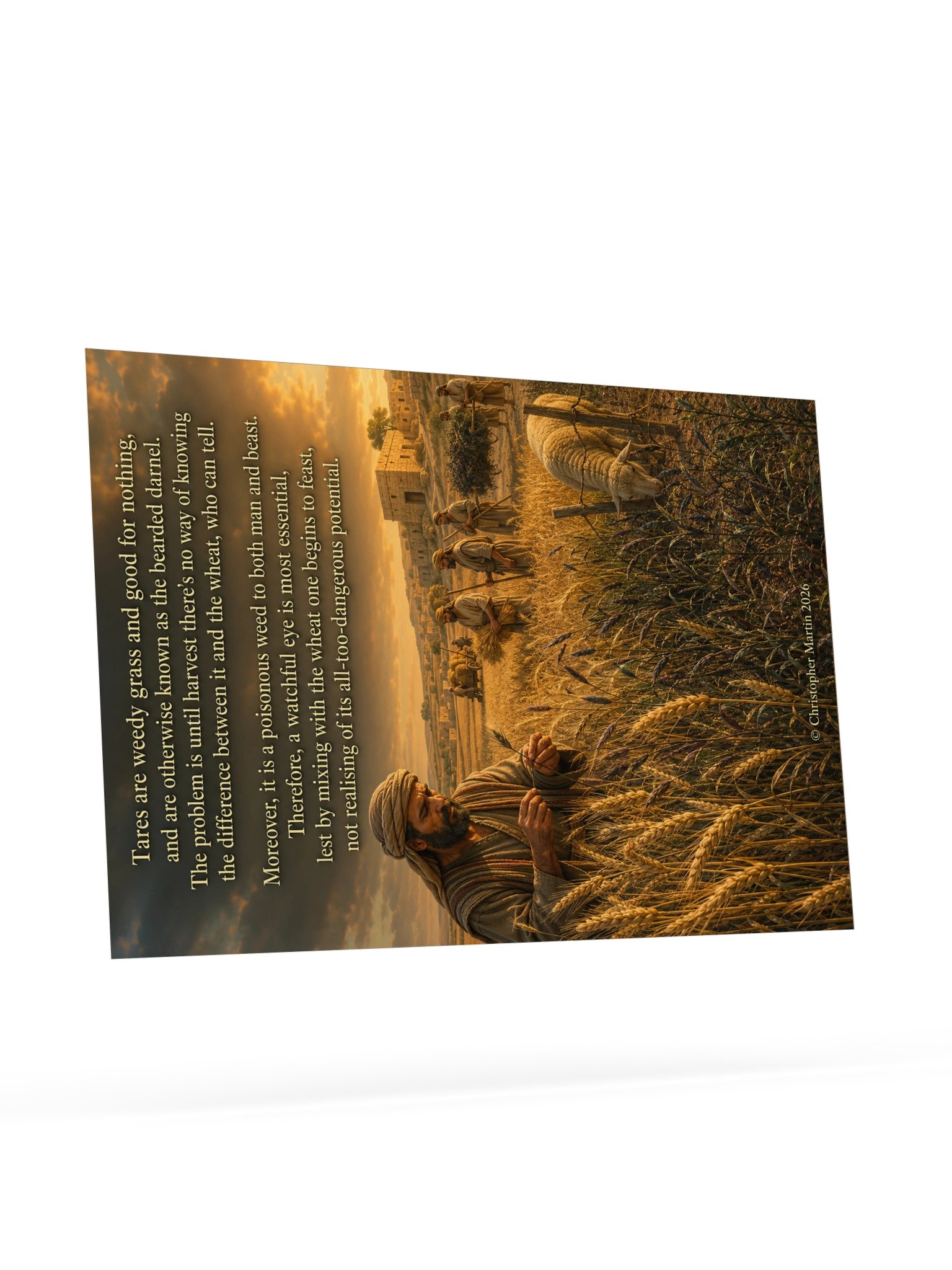 Tares and wheat product image (9)