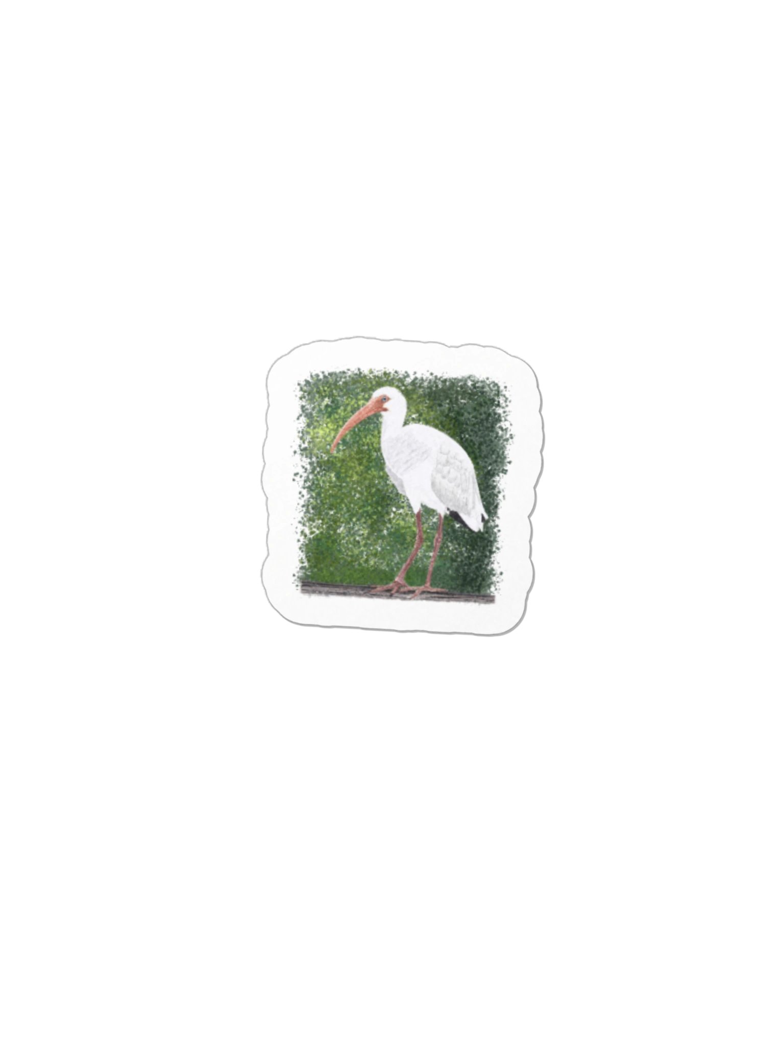 Ibis product image (1)