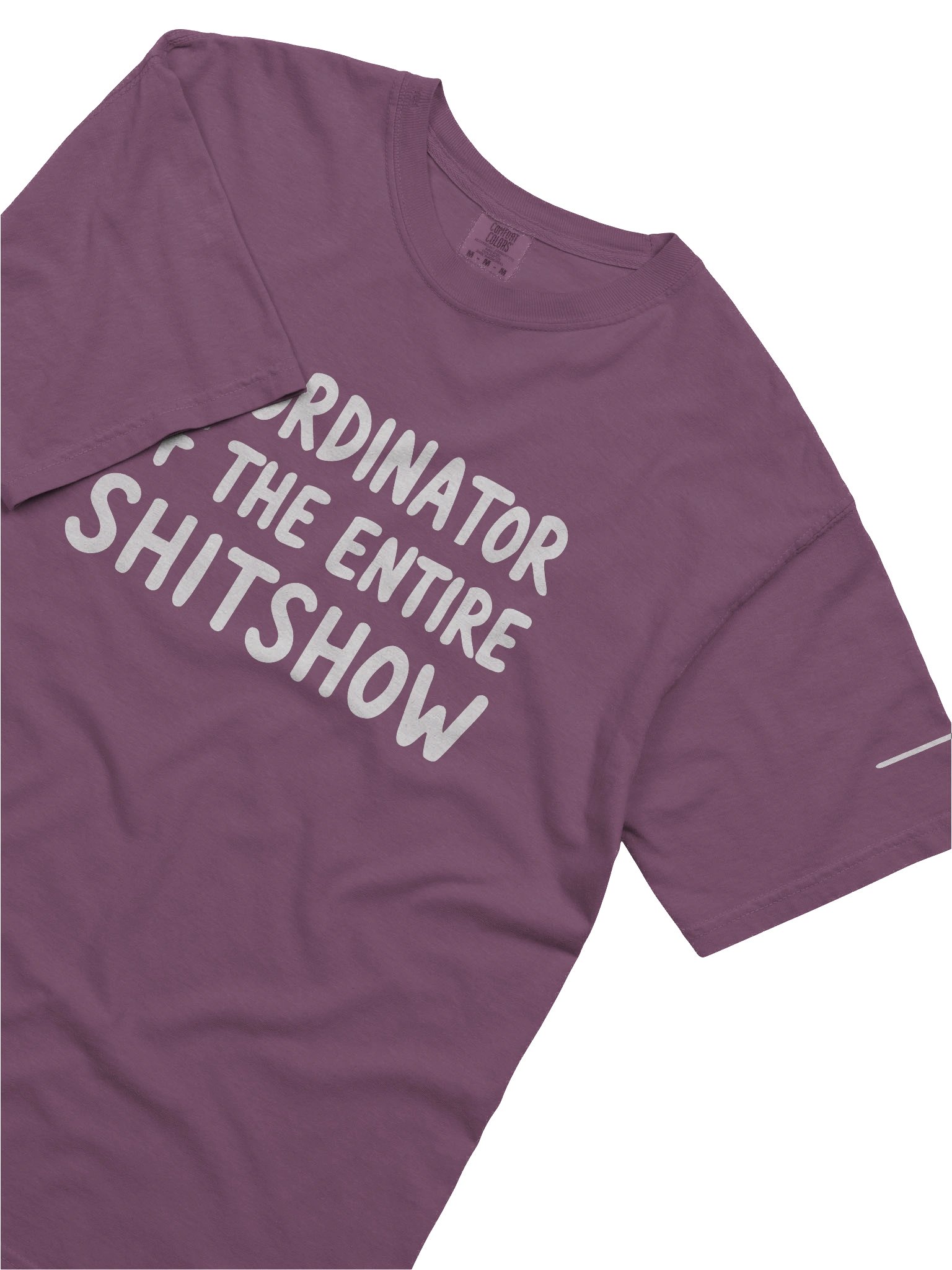 Somebody-Has-To-Be-One Tee product image (14)