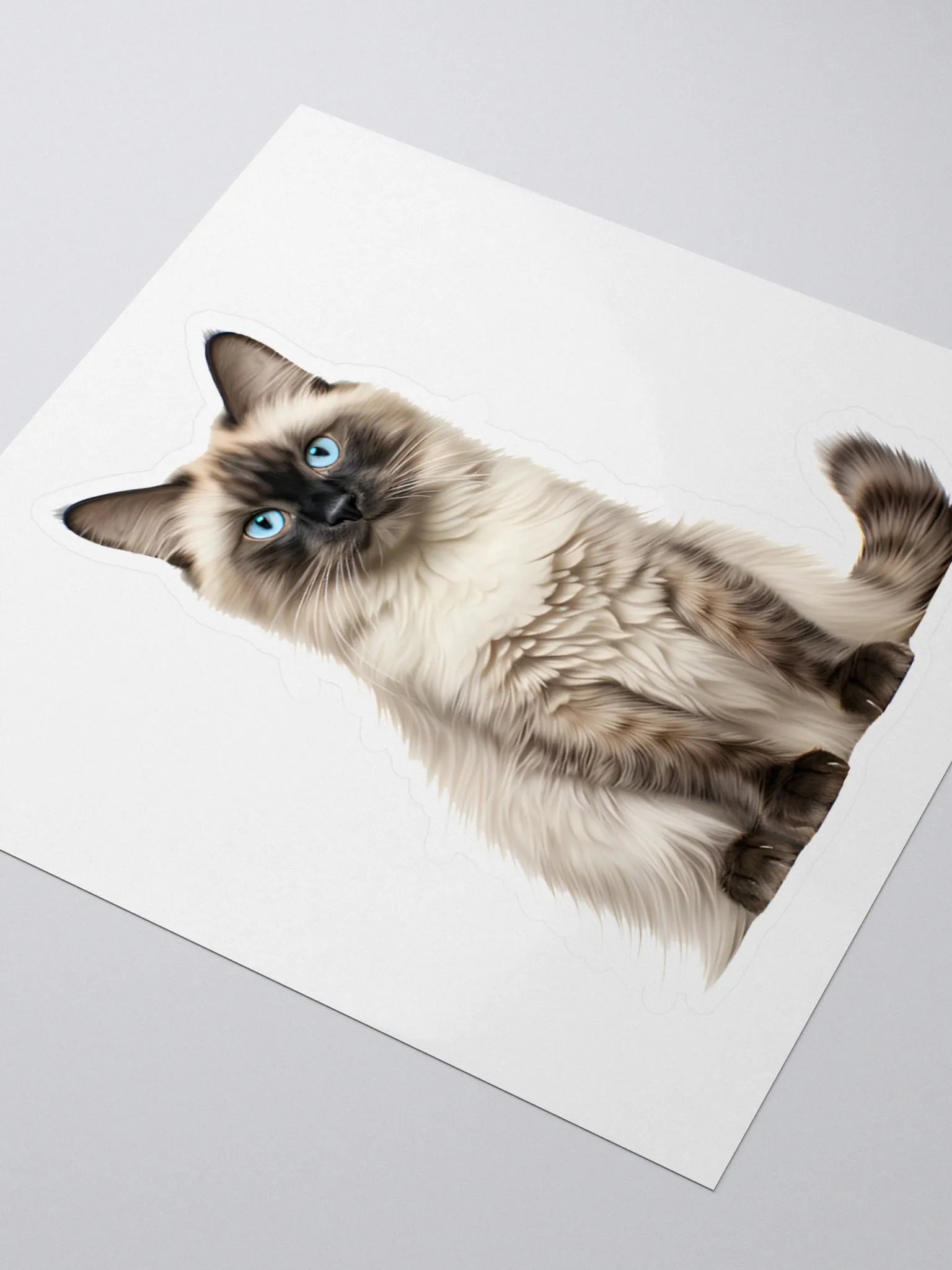 Rolay Ragdoll Cat Sticker product image (3)