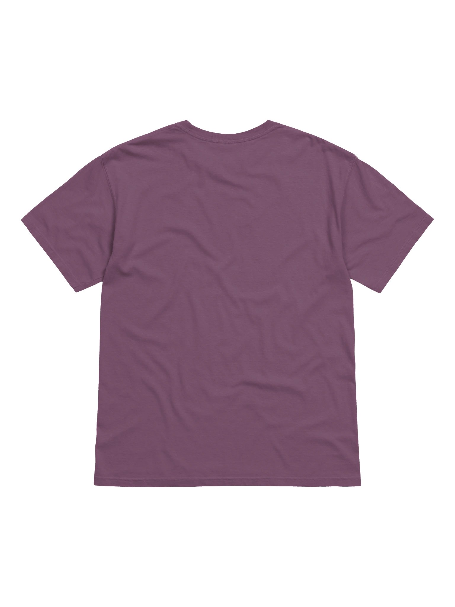 September Blessed Morning Glory Flower Shirt – Blooming with Grace, Rooted in Strength Graphic Tee product image (6)