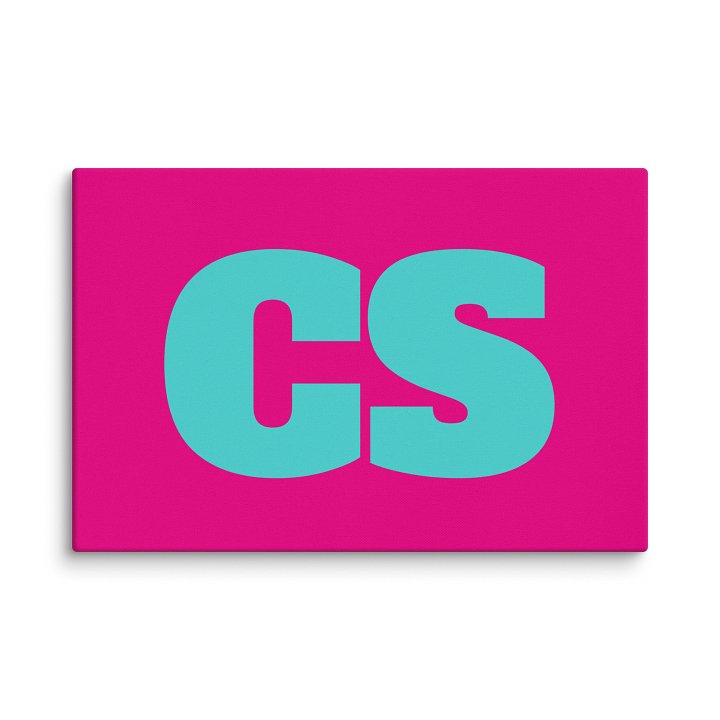 CS CS 16"x24" Wall Art product image (1)