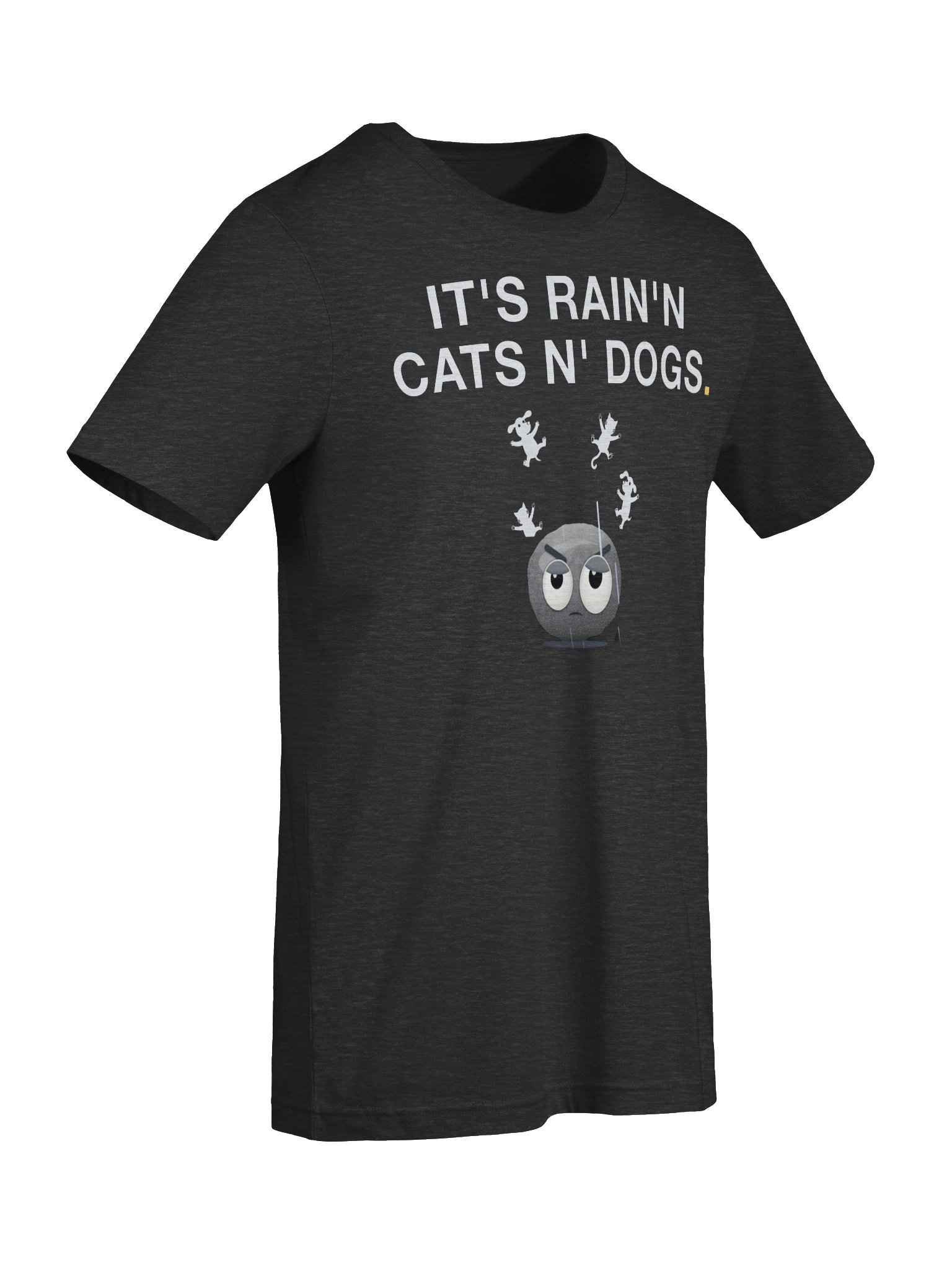 It's Rain'n Cats N' Dogs! T-Shirt product image (7)