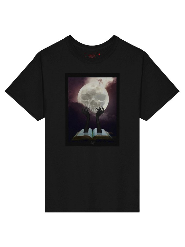 STONES FROM THE SKY product image (1)
