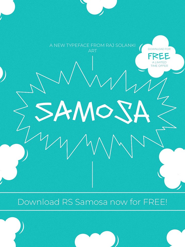 RS Samosa product image (1)