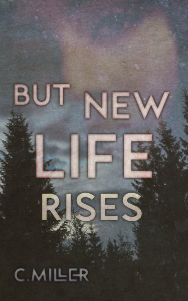 But New Life Rises (From the Ashes, #3) product image (1)