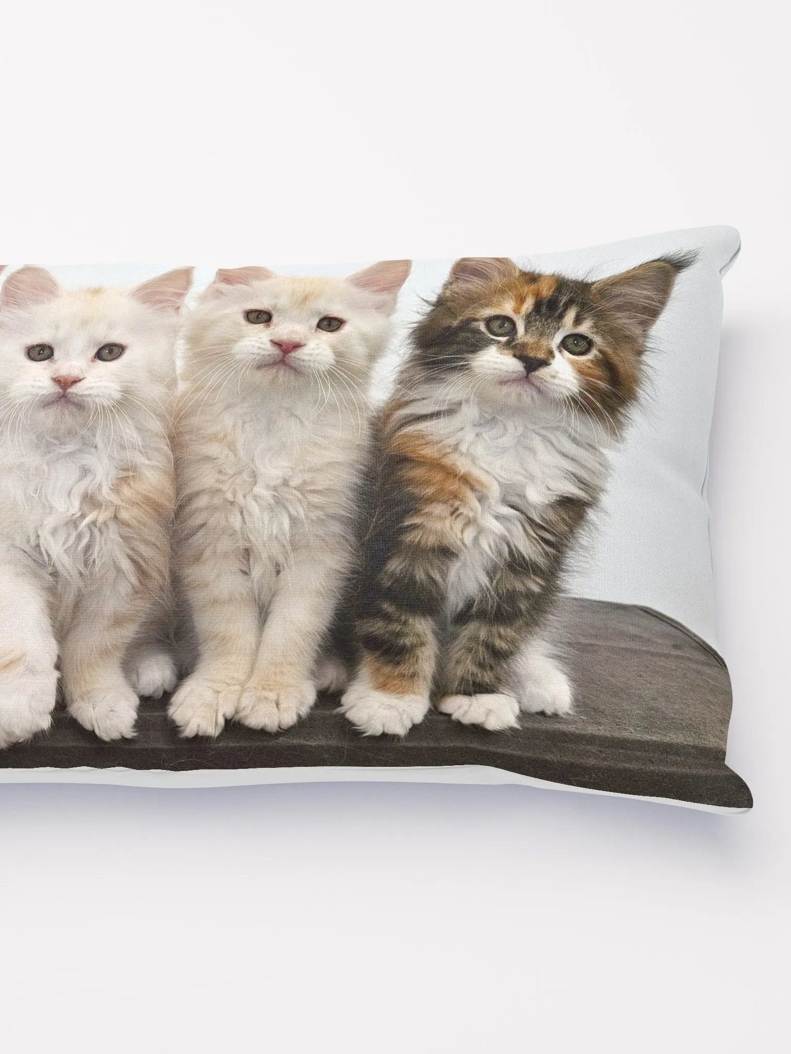 Ada's Kittens - Pillow product image (2)