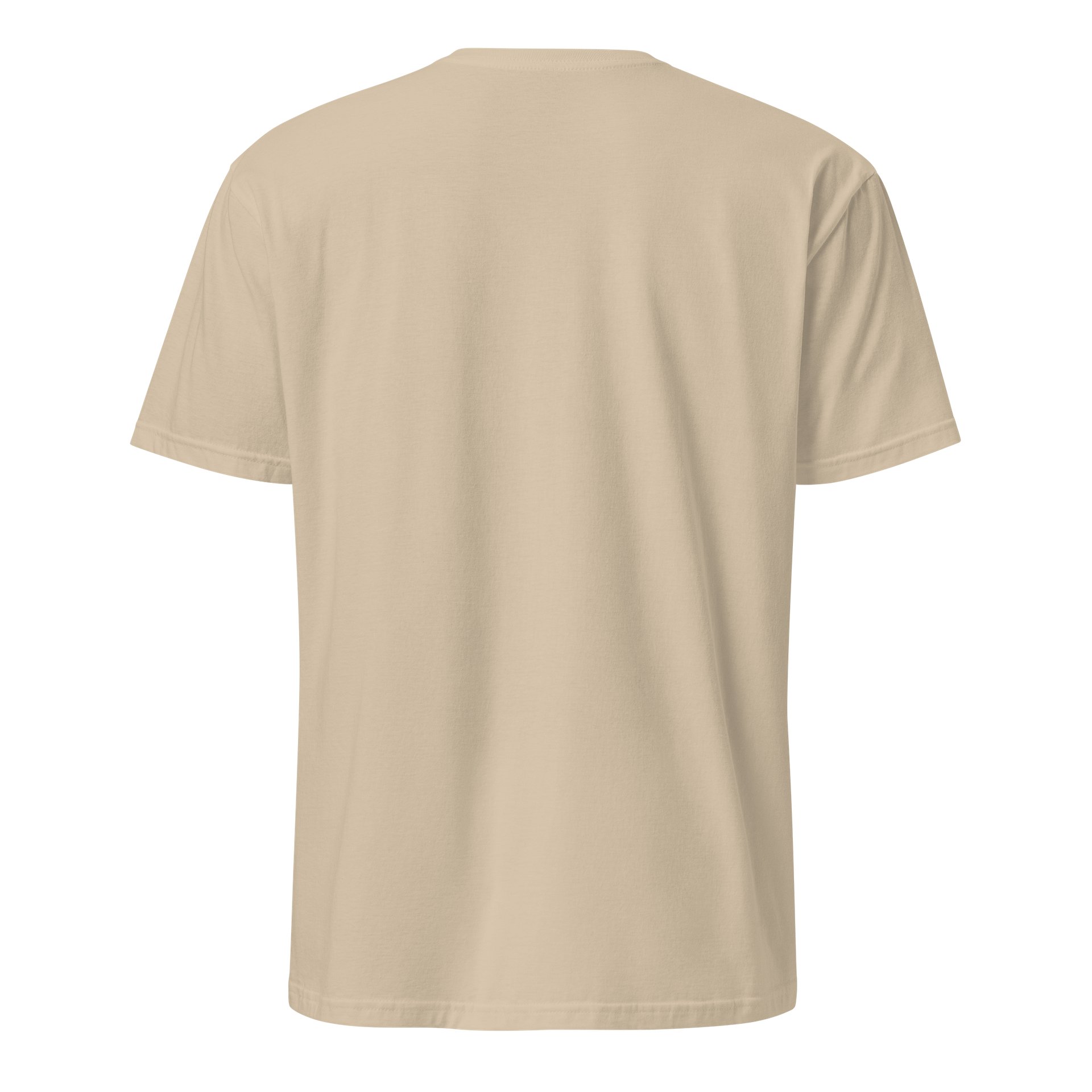 God Brought Me Through -Testimony Tee product image (2)