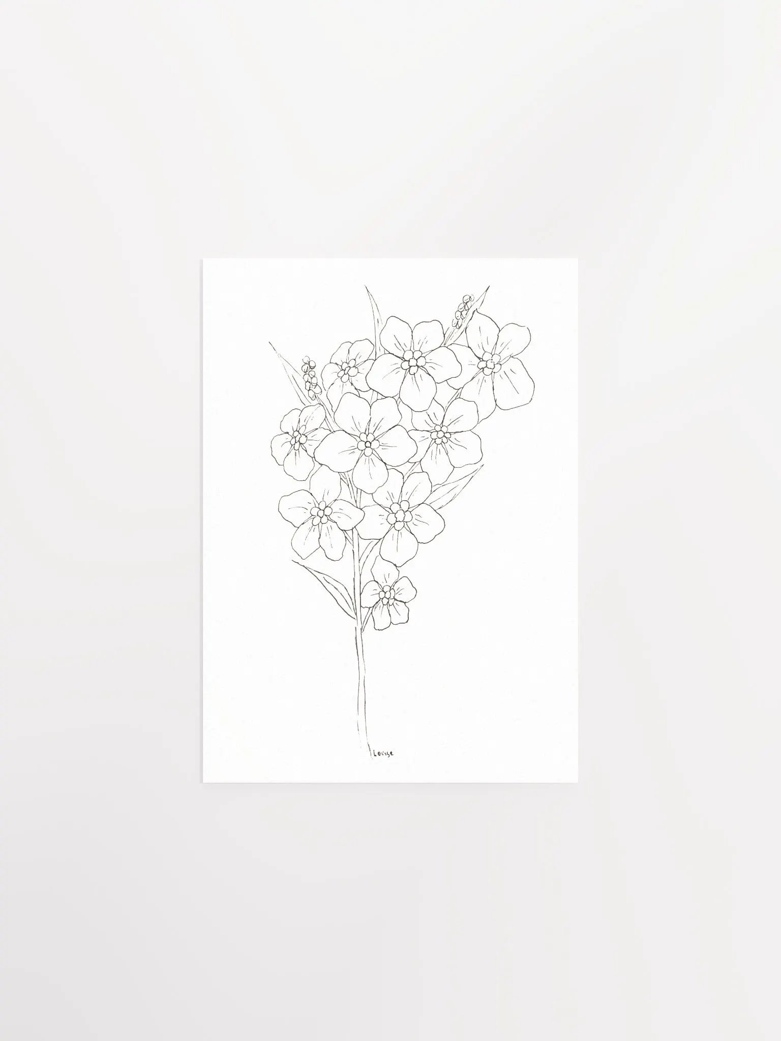 Forget-Me-Not Line Art Poster product image (1)