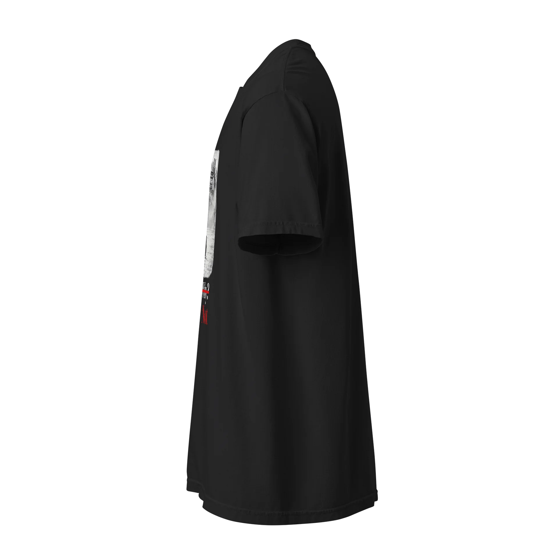 But why penguin shirt product image (2)