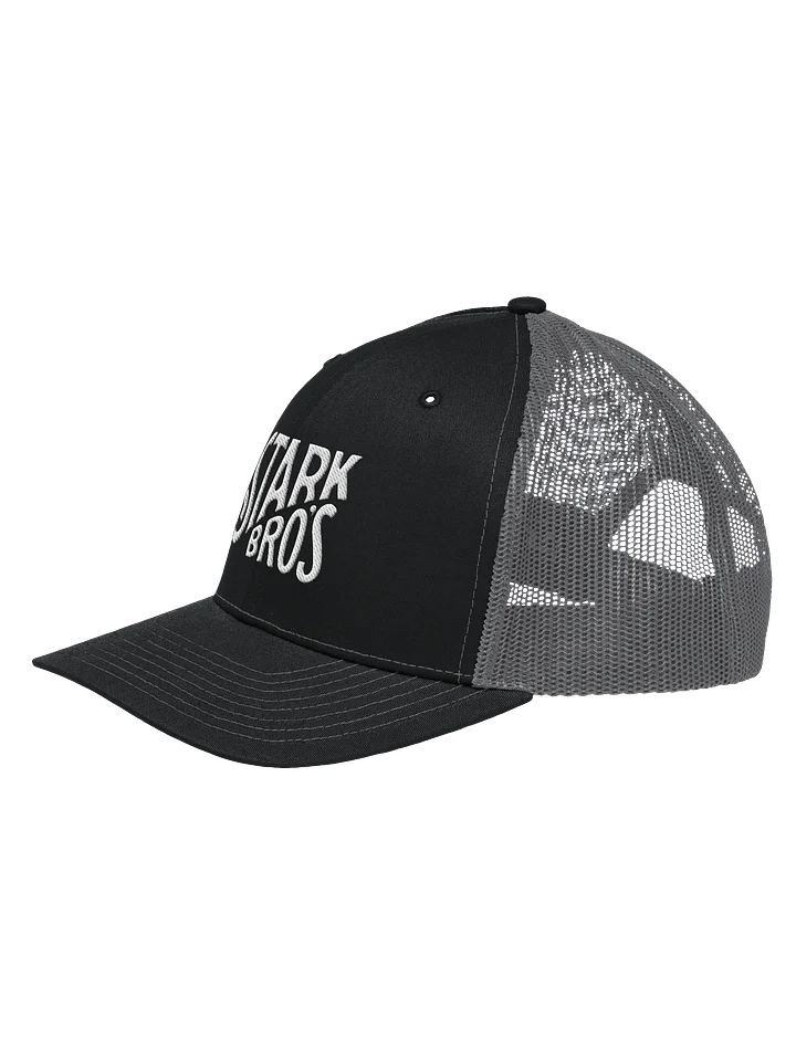 Vintage Logo Hat product image (2)