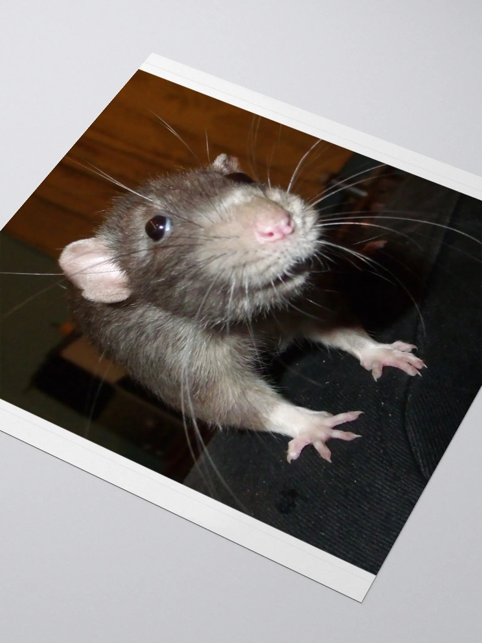 Biff rat sticker product image (7)