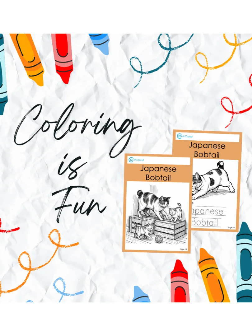 12 Cat Breeds Colouring Pages ( 24 pages ) product image (1)