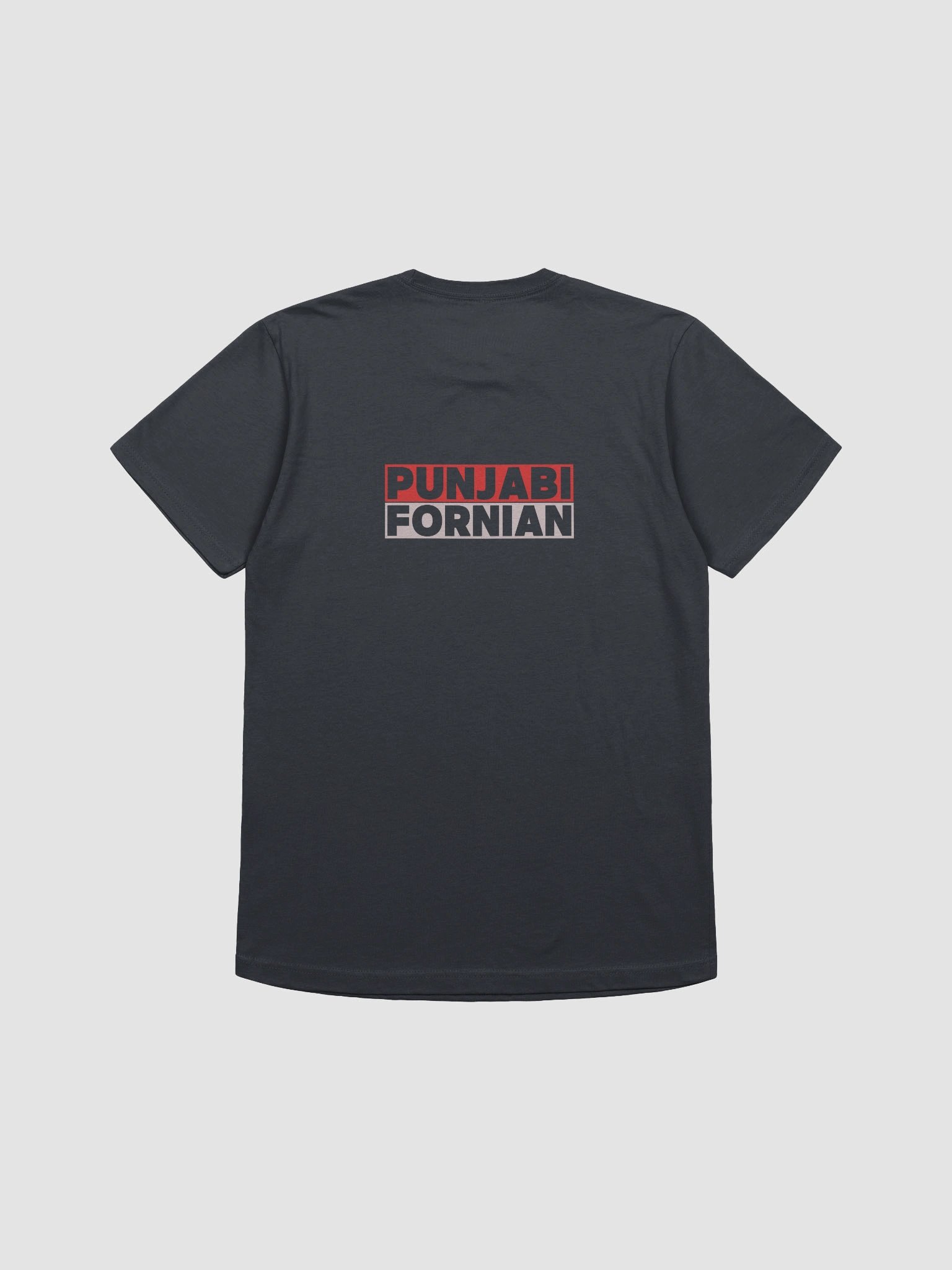 THE AMRITSAR DROP TEE product image (4)