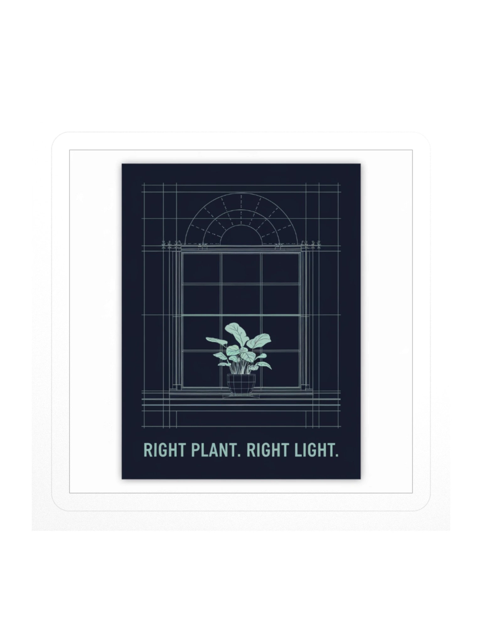 Right Plant. Right Light. — Sticker product image (1)