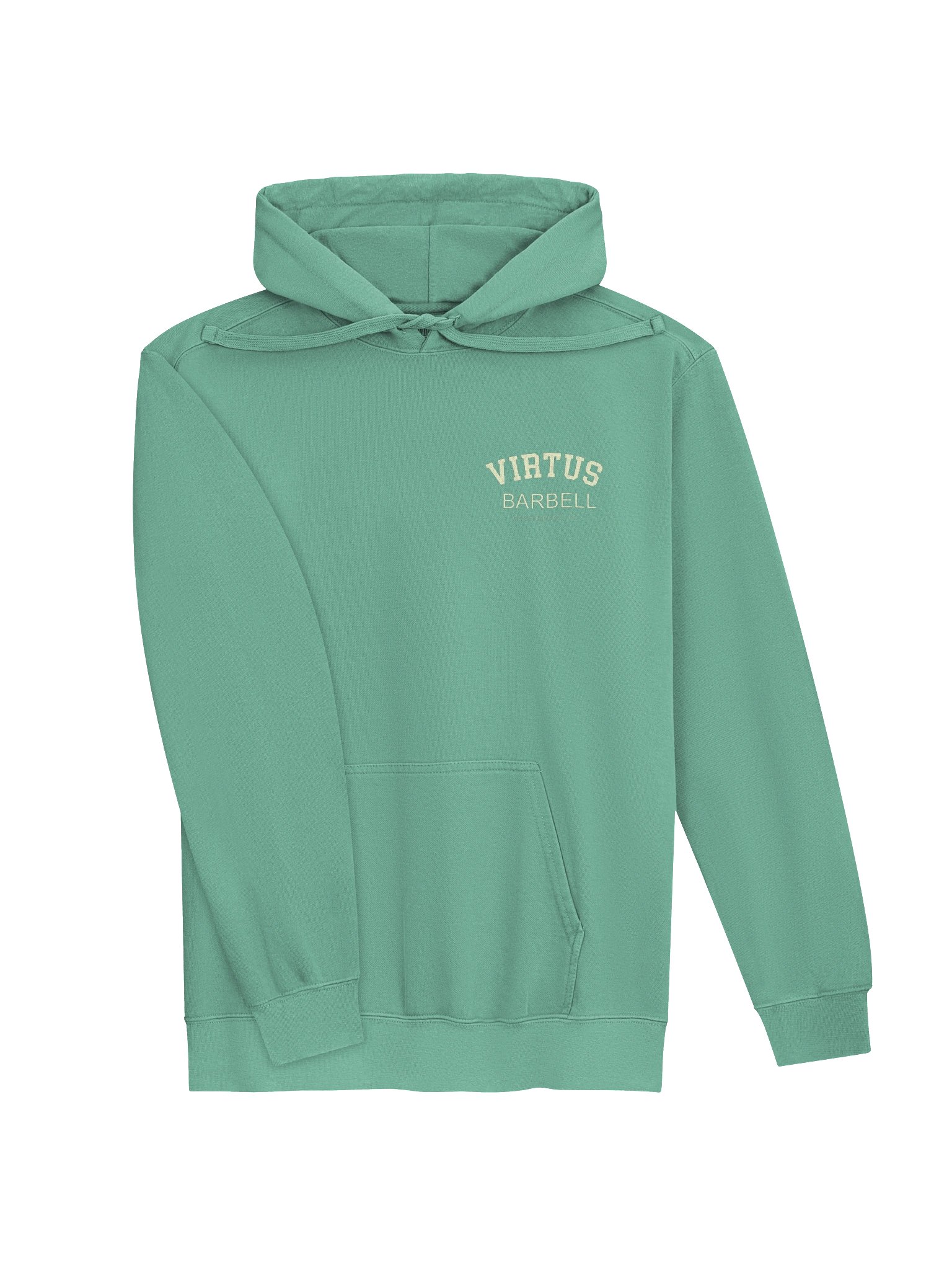 Virtus Vintage Collegiate Hoodie product image (67)