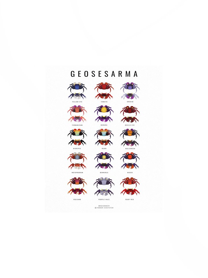 GEOSESARMA VAMPIRE CRAB POSTER (WHITE) product image (1)