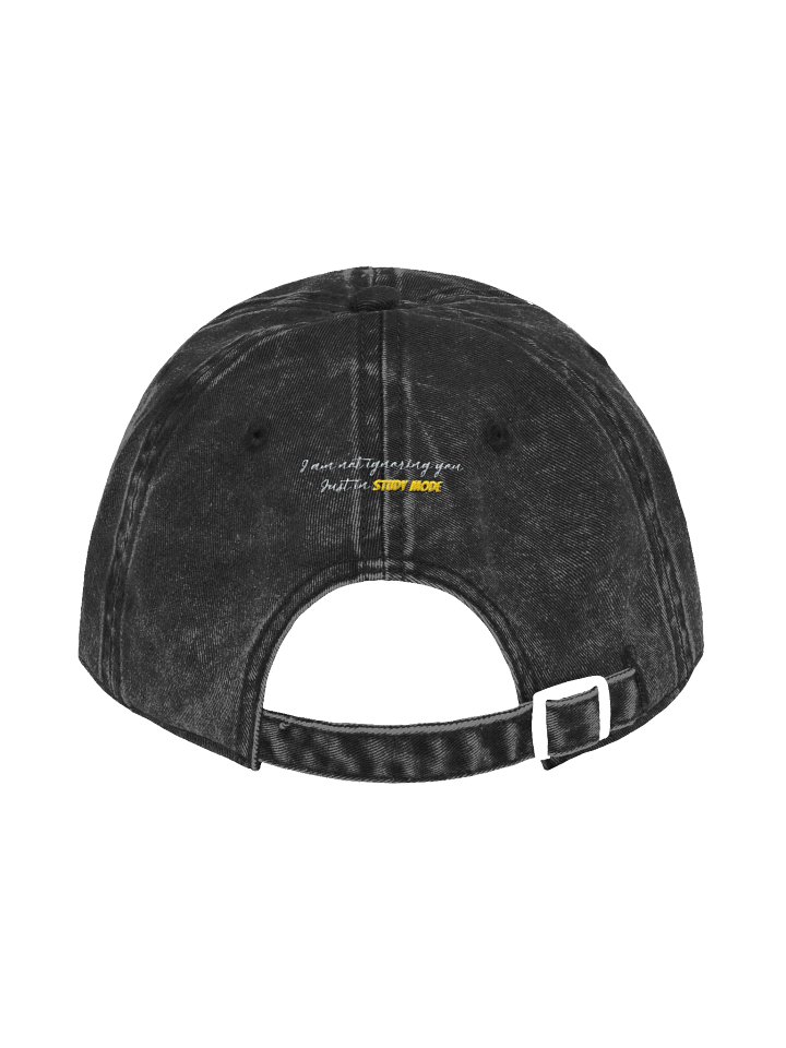 Vibe Study Meme Cap product image (4)