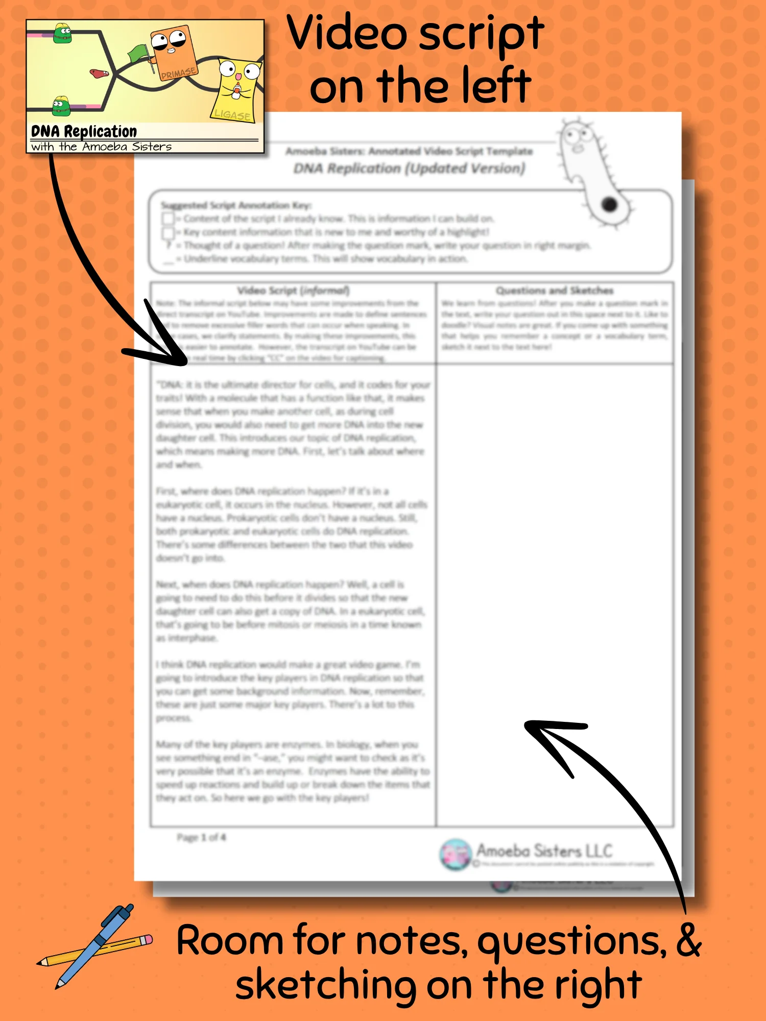 Amoeba Sisters DNA Replication Annotated Video Script Template product image (2)