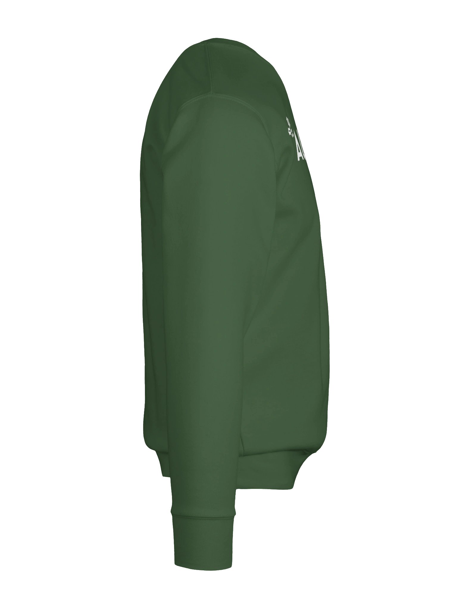 Aurora Crew Neck Sweatshirt product image (58)