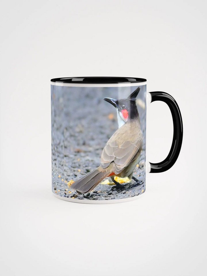 IUCAA Birds Photos product image (1)