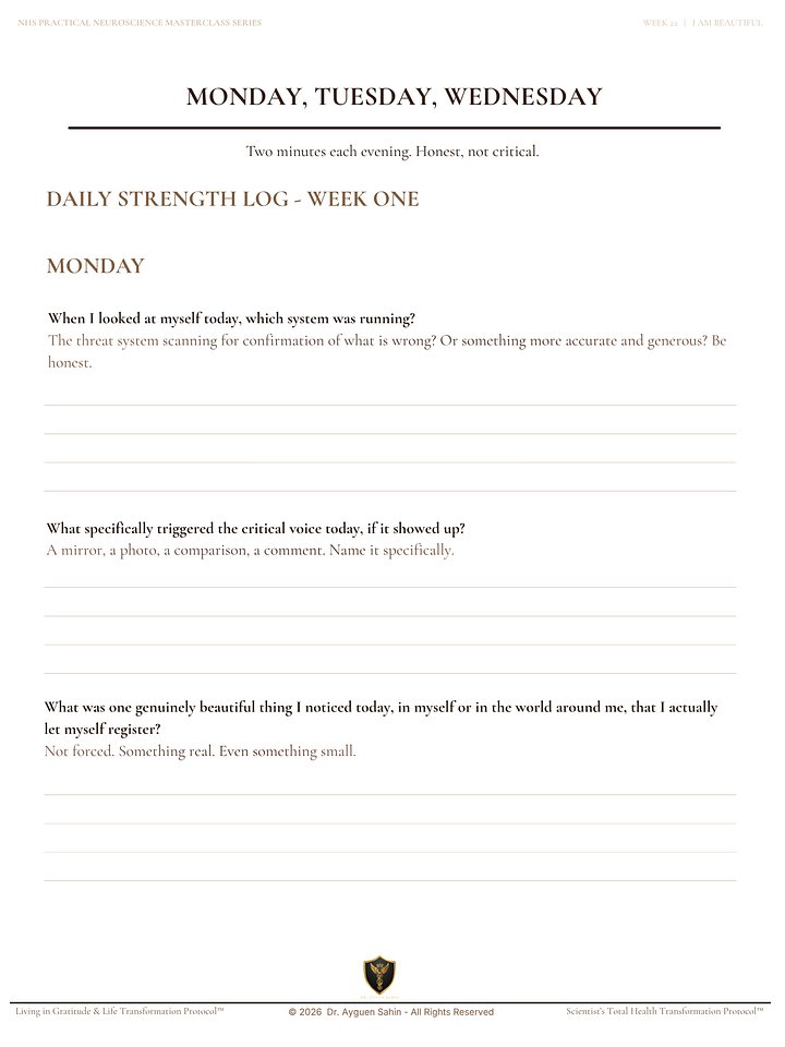 The BEAUTY PERCEPTION AUDIT product image (2)