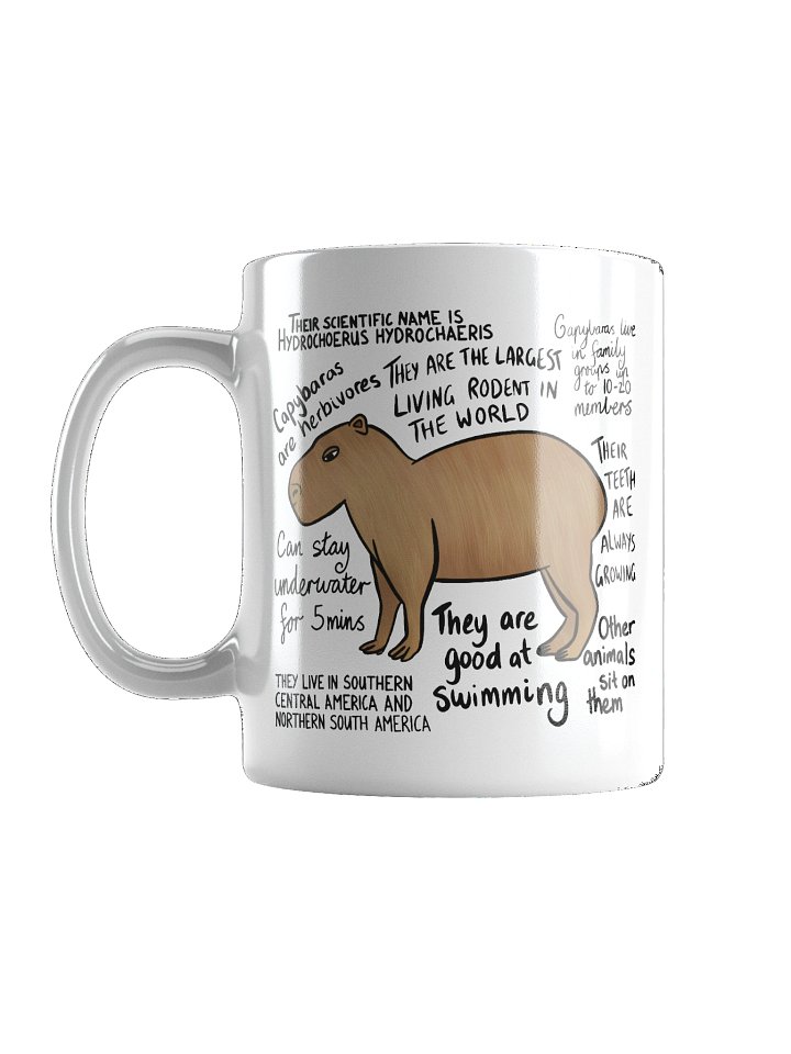 Capybara Facts Mug product image (1)