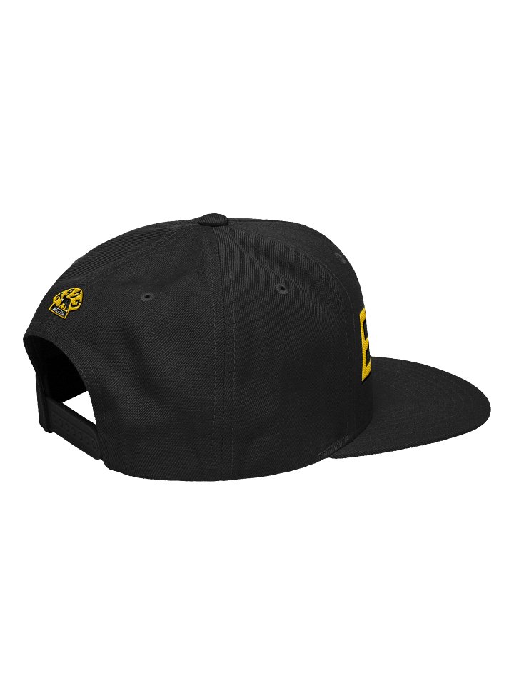 Nu Skool SnapBack product image (2)