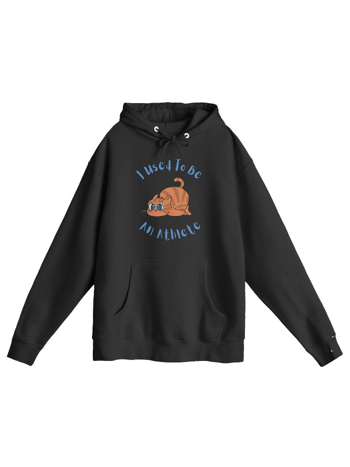 Chubby Cat Confession Hoodie product image (3)