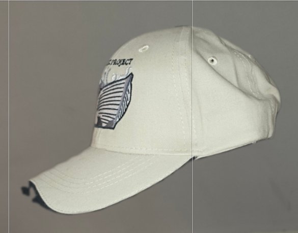 The Ark Project LLC Baseball Cap (Help Fund A Better Black Wall Street product image (2)