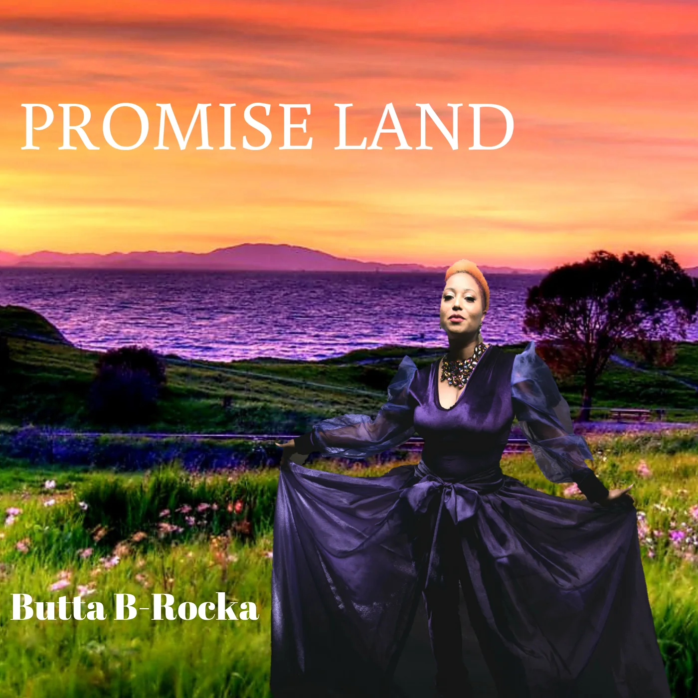 Promise Land product image (1)