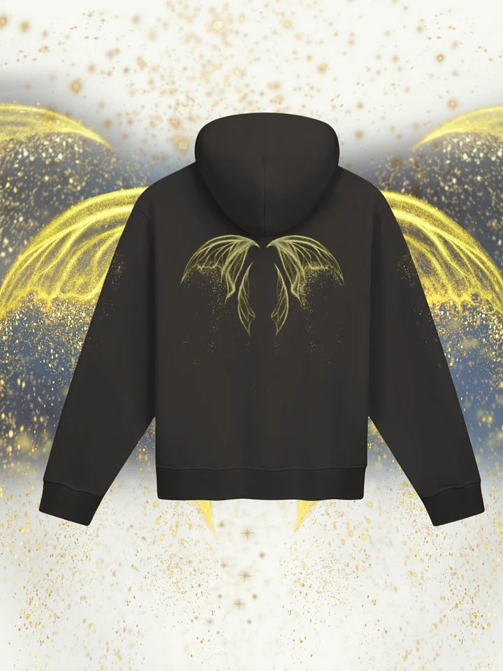 "SOAR" Hoodie [Street Team] product image (1)