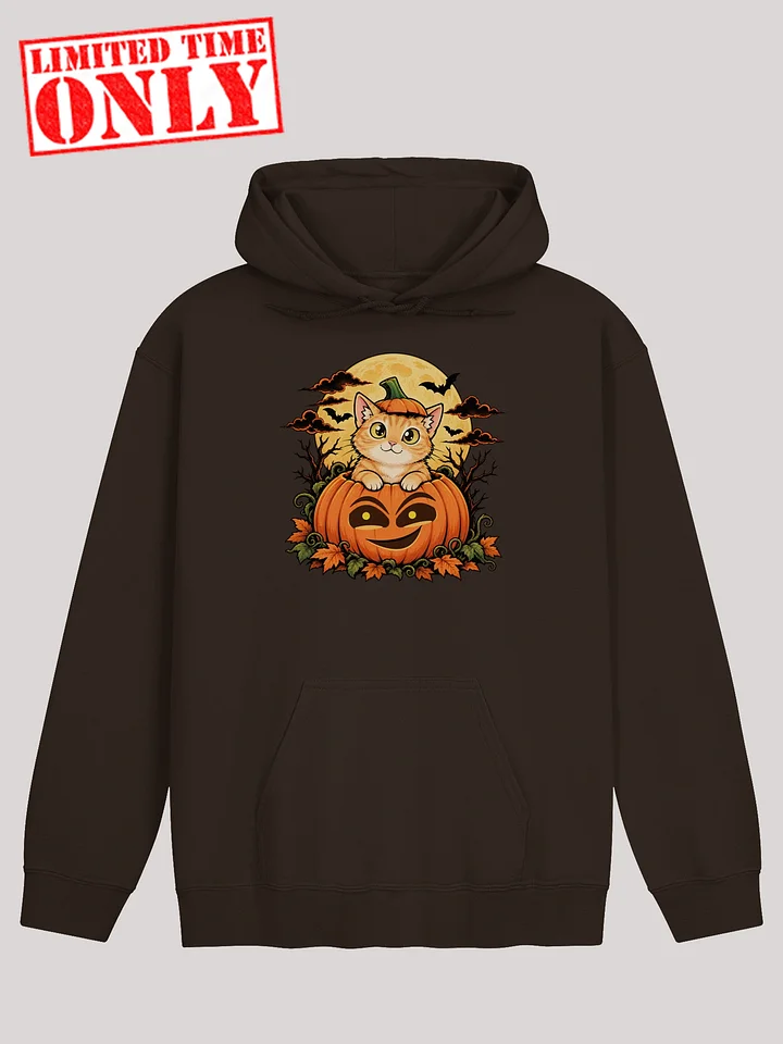 Tiggy Halloween Hoodie (LTO) product image (3)