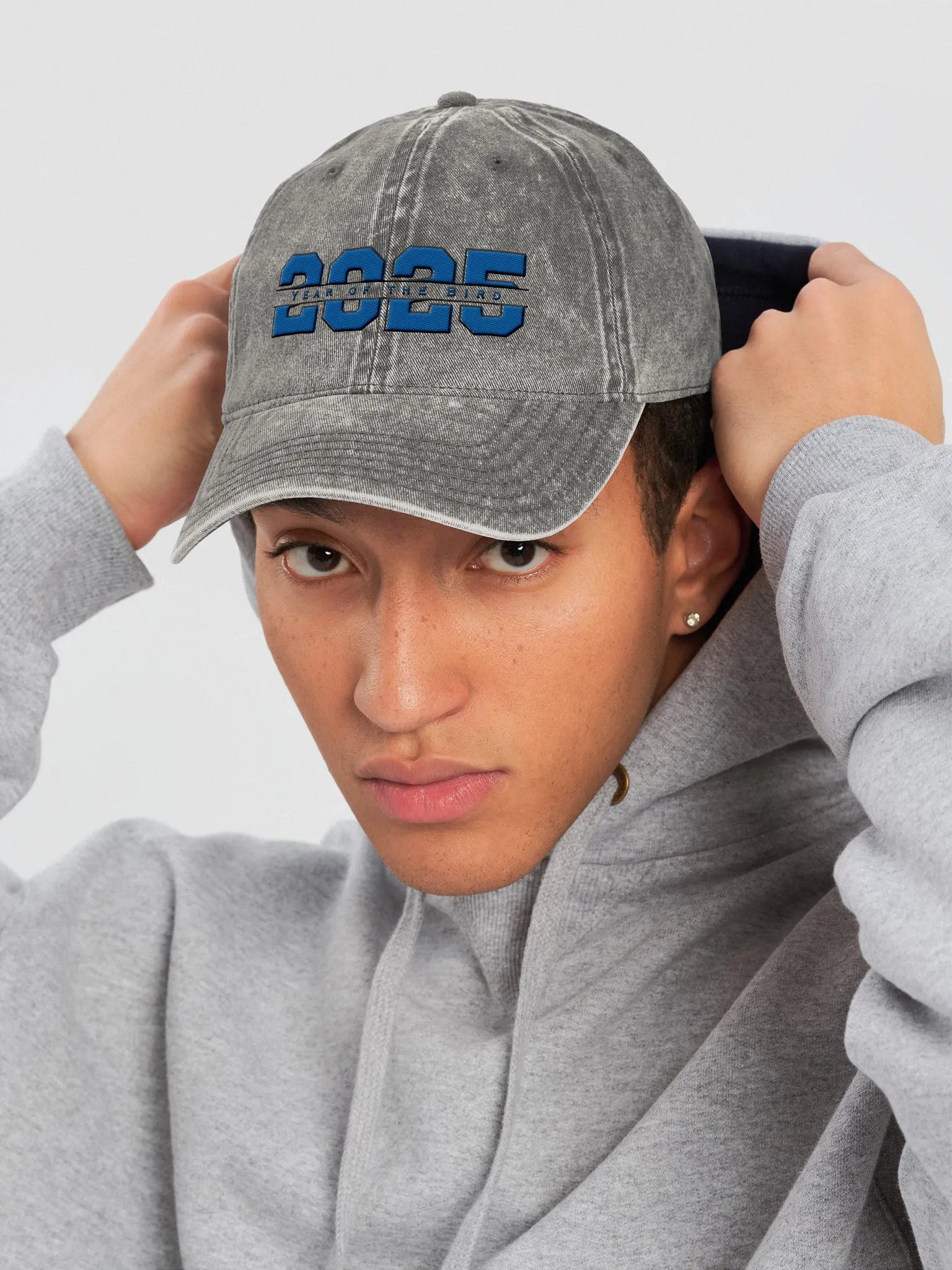 Blue "Year of the Bird" Vintage Cap product image (3)