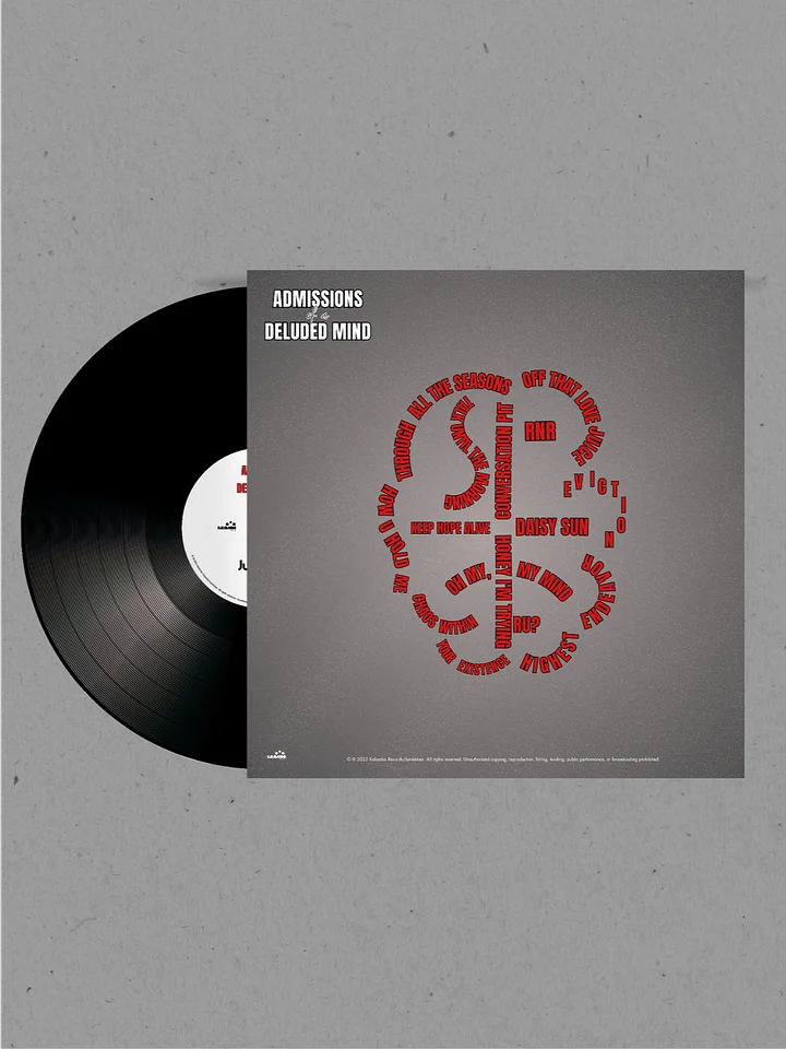 Limited Edition AOADM Vinyl product image (2)
