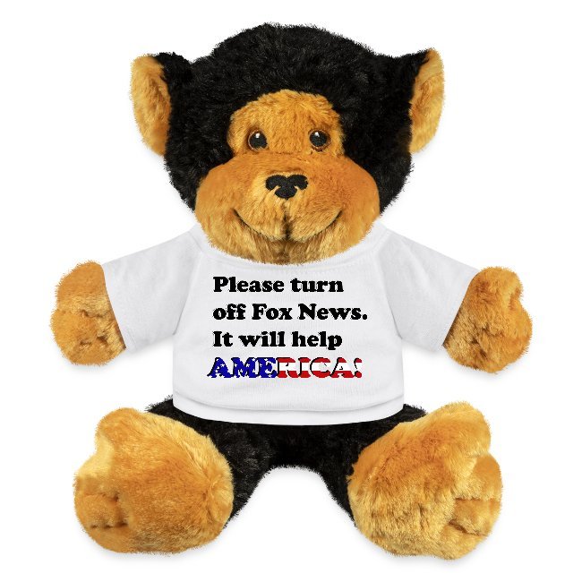 Please Turn Off Fox News Digital Download - Printable Anti-Fox News Graphic PNG product image (3)