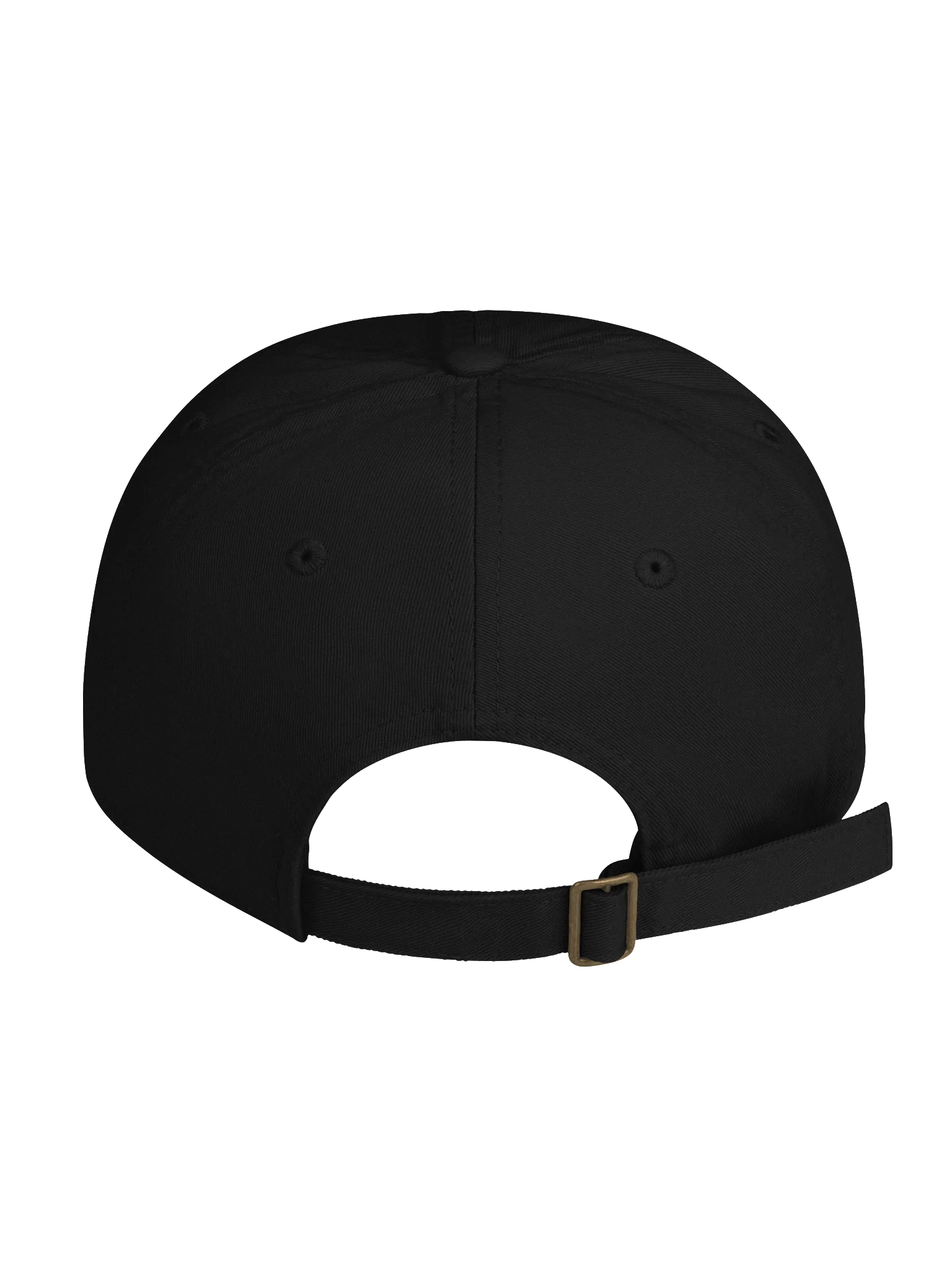 Springer Dad Cap product image (9)
