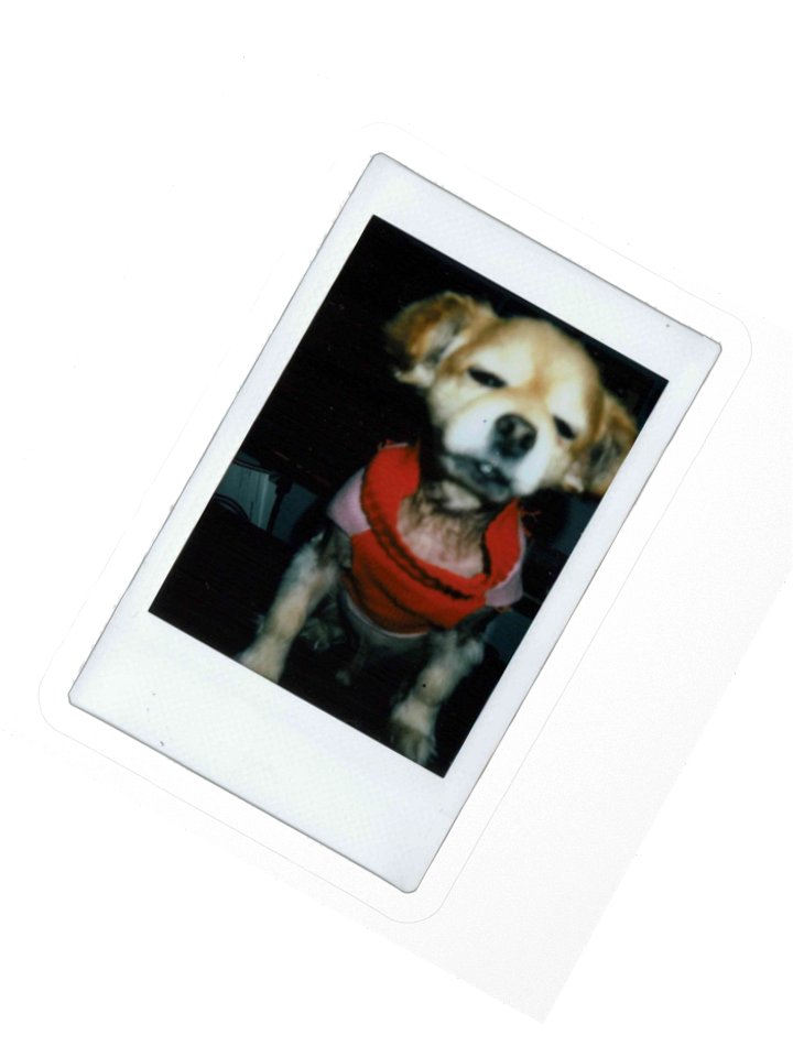 Polaroid B Sticker product image (2)