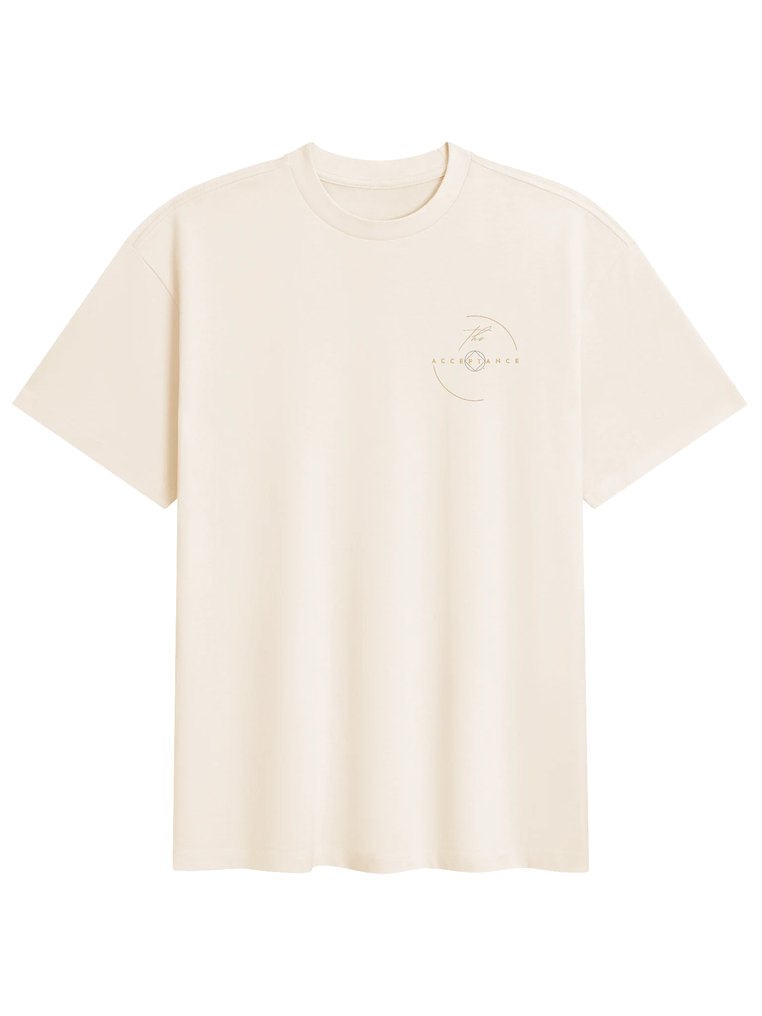The Acceptance Oversized Box Tee product image (3)