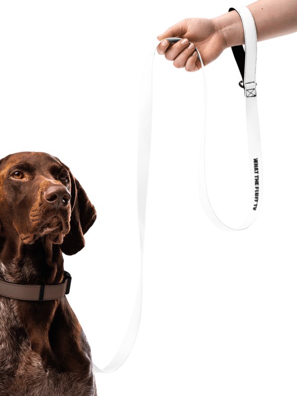 What The Fluff Pet Leash (Combine with WTF! Collar) product image (2)