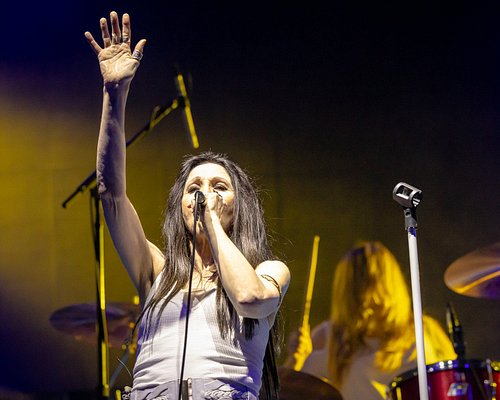 Zepparella Transmission: Concord and SoCal this Weekend! Read all the news at the link in bio or at https://mailchi.mp/zeppar...