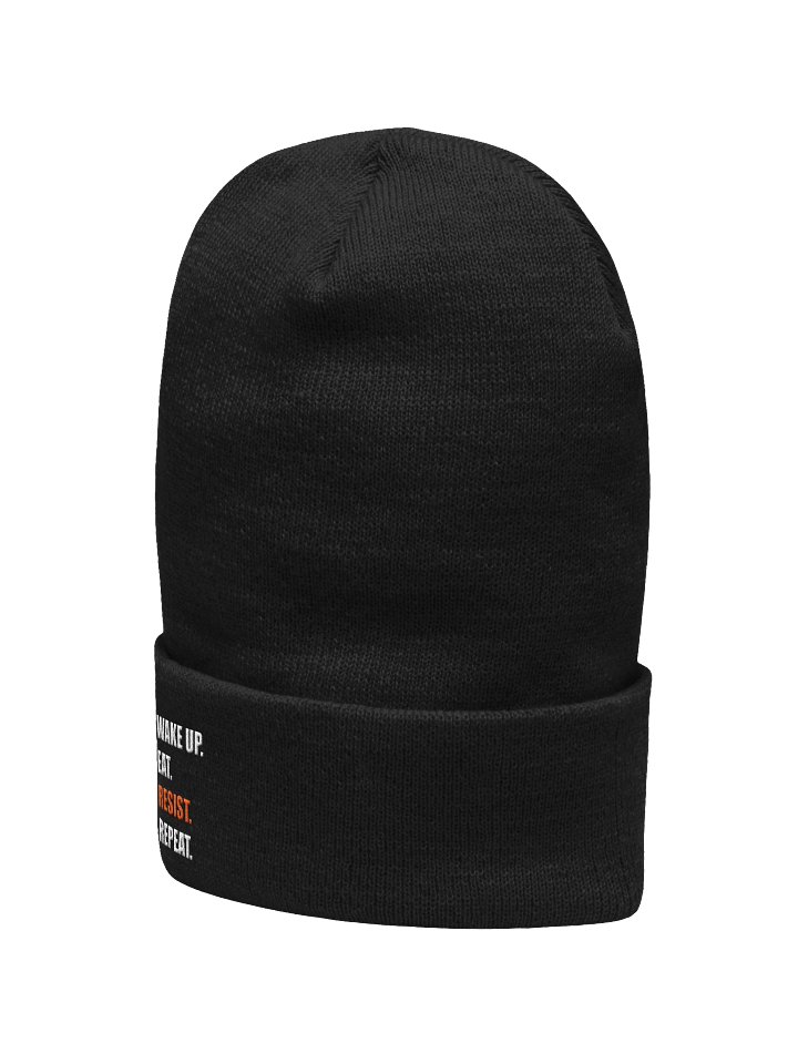 Resist Beanie product image (2)