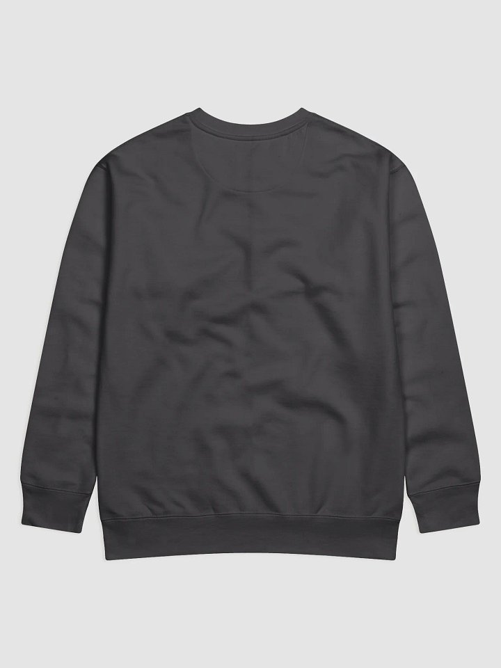 In Search of...Sweatshirt product image (2)
