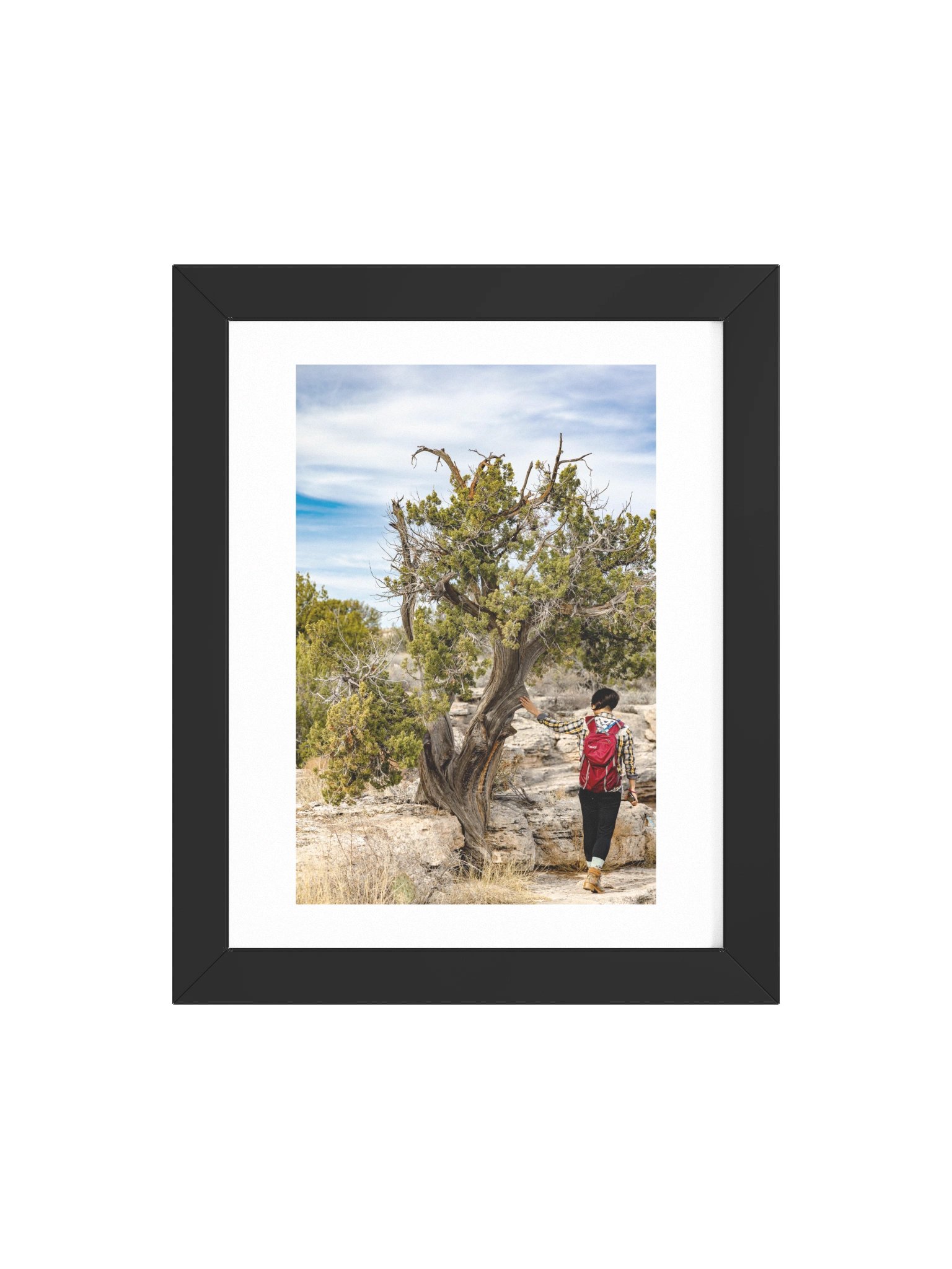 Desert Tree Touch Framed Poster product image (12)
