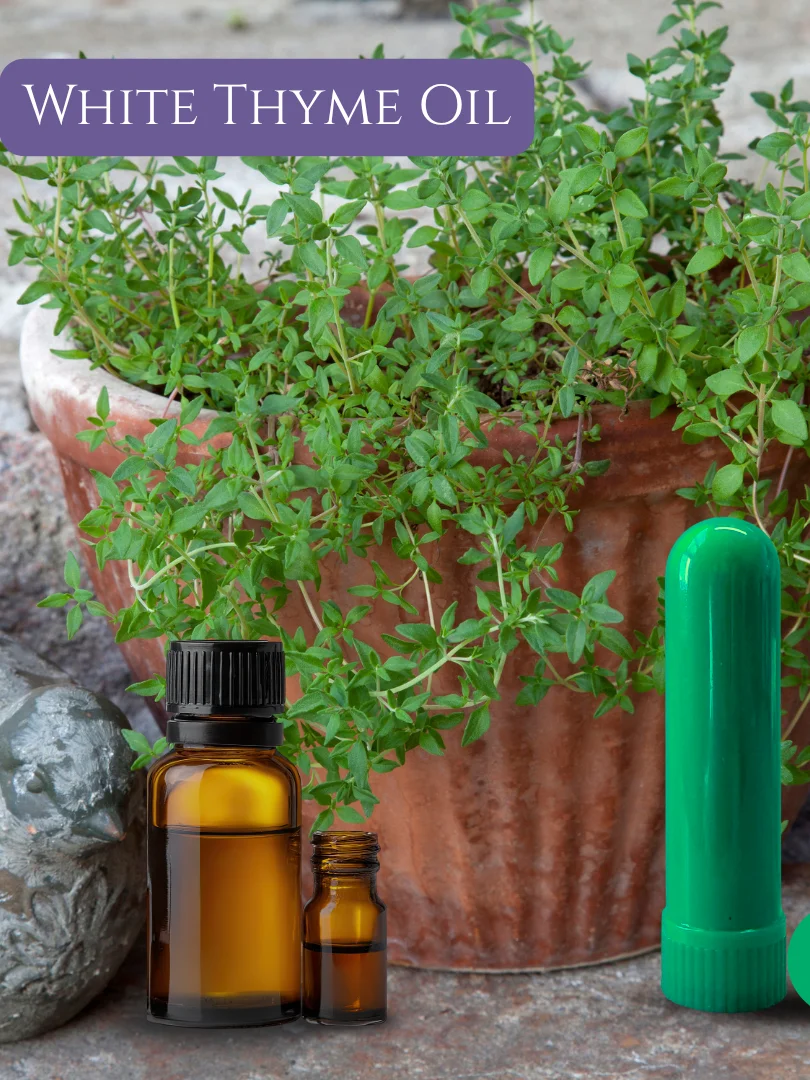 Olfaria Herbs Odor Training Kit | 5 Single-Note Essential Oils | Scent Education | Train Your Nose product image (2)