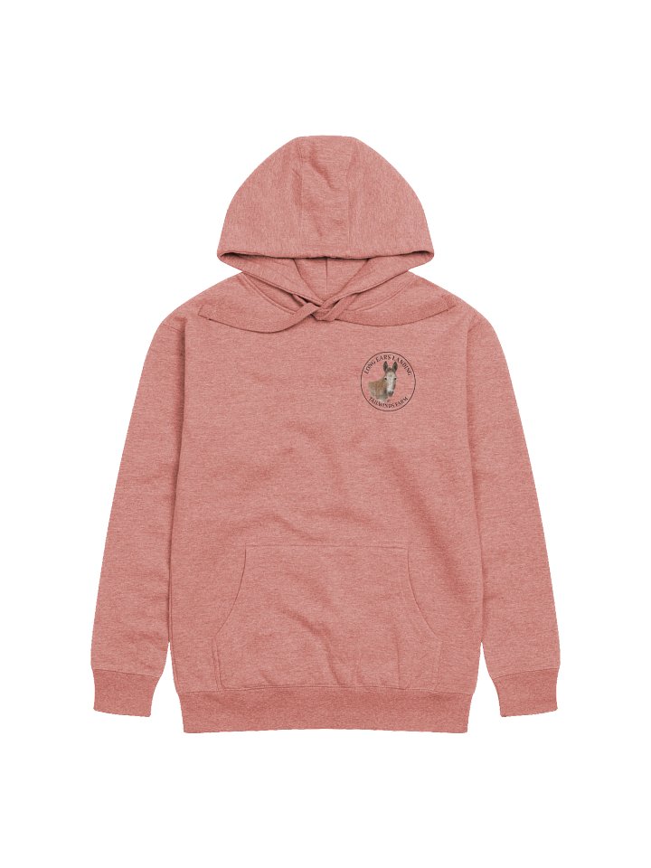 Buckwheat Small Logo Hoodie product image (1)